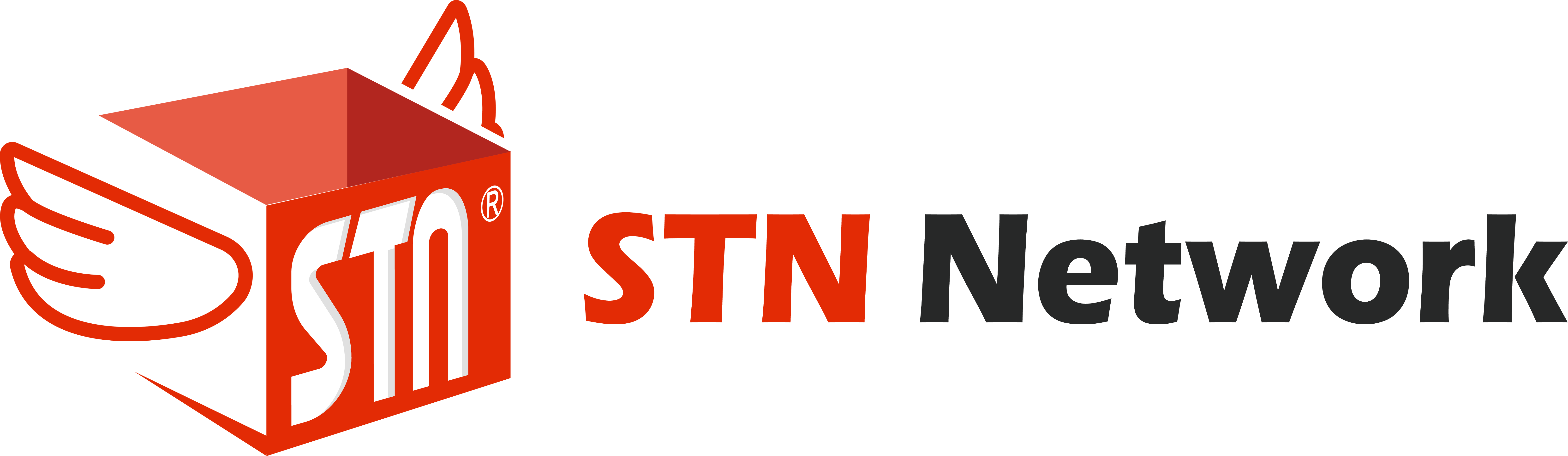 STN NETWORK LOGO